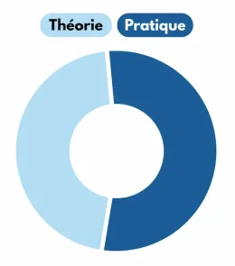 Schéma de répartition des parties théorie et pratique de la formation continue sur 2 ans et demi