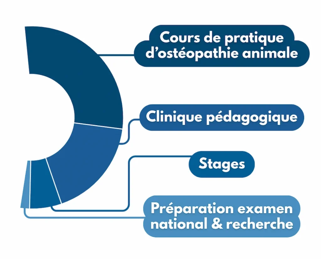Schéma de répartition de la partie pratique de la formation continue sur 2 ans et demi