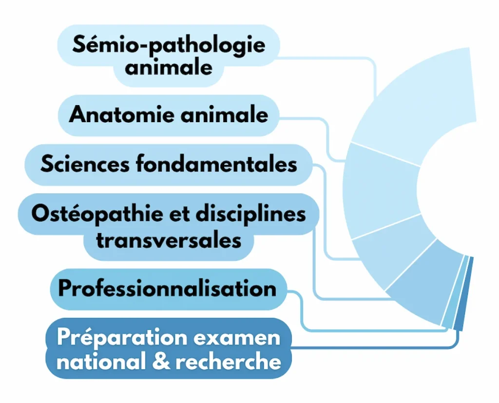 Schéma de répartition de la partie théorique de la formation continue sur 2 ans et demi